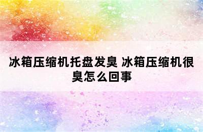 冰箱压缩机托盘发臭 冰箱压缩机很臭怎么回事